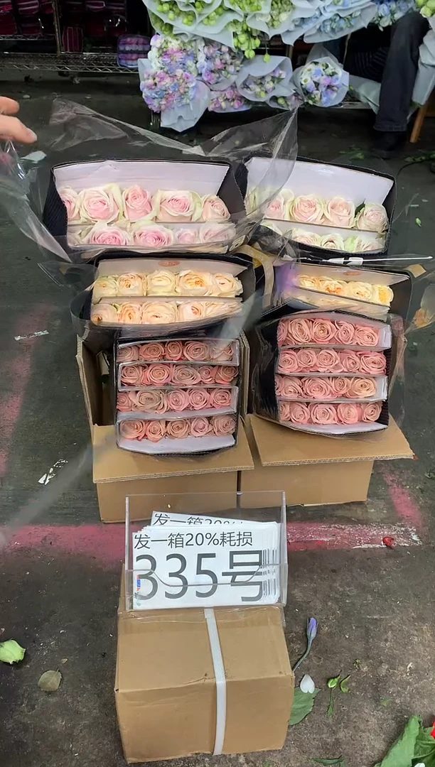 335号♥含20%耗损发一箱