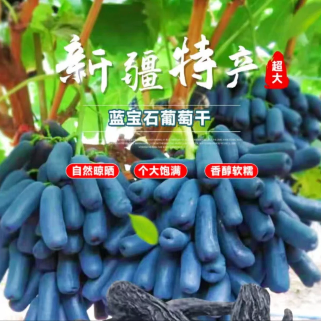 果小疆新疆本地蓝宝石葡萄干 香醇软糯 新疆包邮发货