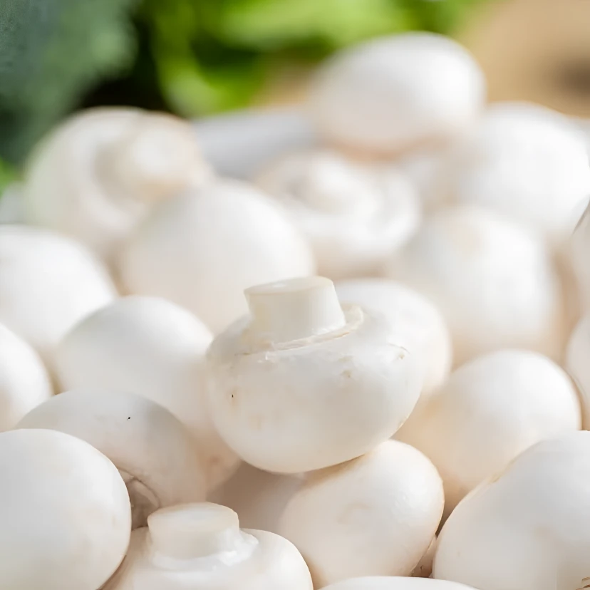 新鲜口蘑白蘑菇双孢菇片食用菌煲汤炒菜佳选
