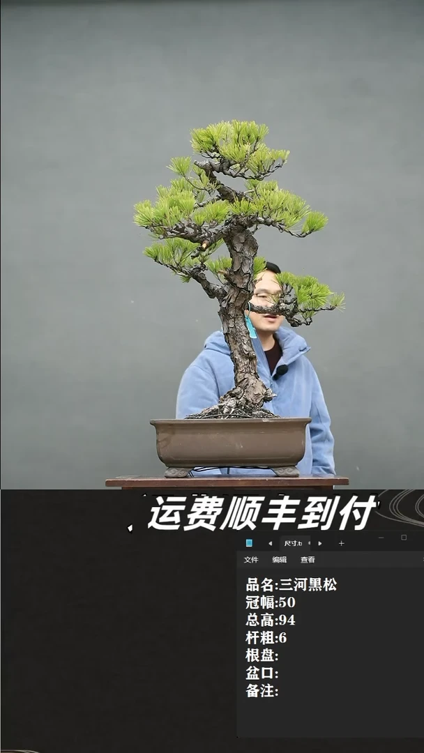 【闪购商品】2 三河黑松