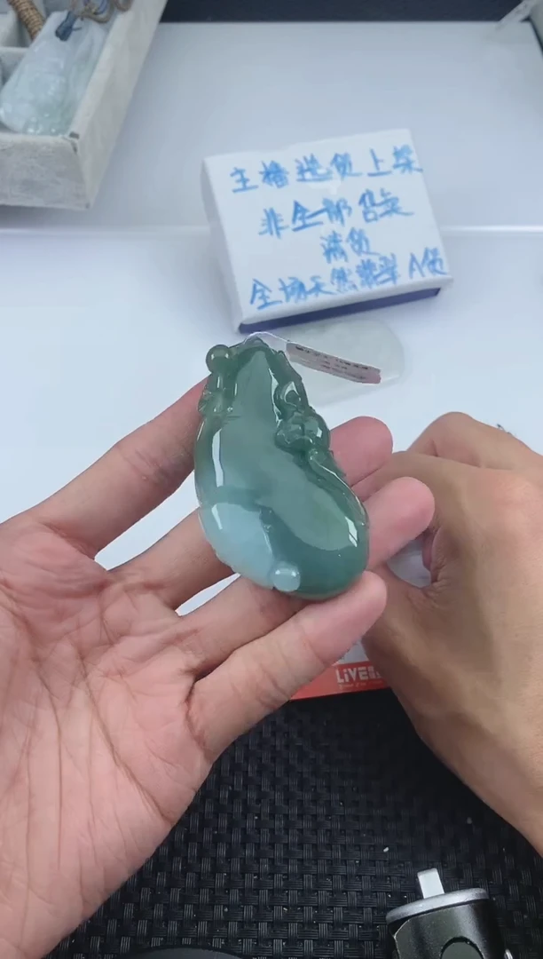 翡翠未镶嵌颈饰
