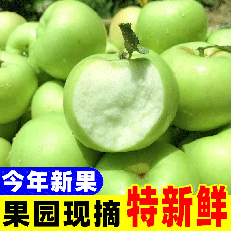 头茬现摘新鲜青苹果当季应季水果酸甜脆爽多汁