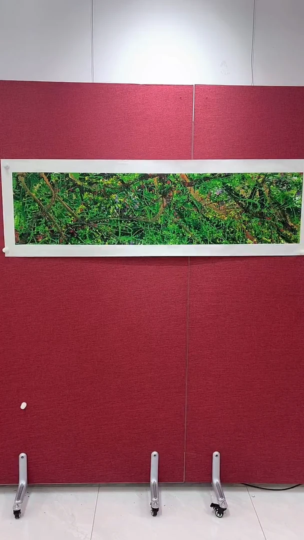 国画幸***定赵燮绘画4平尺藤萝金P