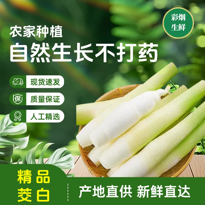 1蔬菜茭白时令茭瓜鲜青浦练塘水八仙火锅菜新鲜蔬菜茭白现采菜瓜