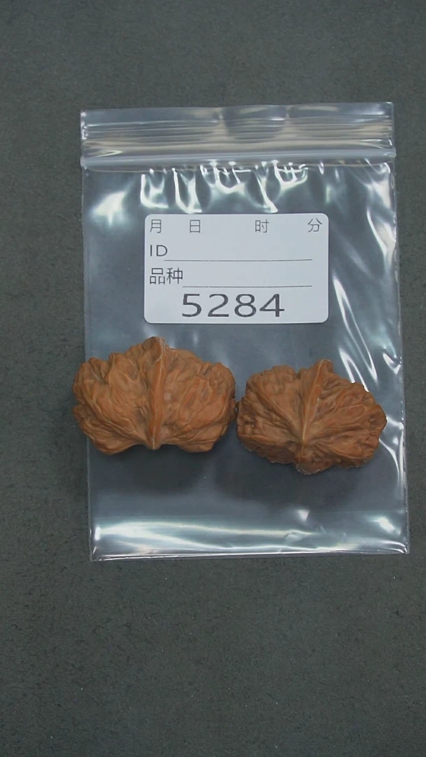 把件文玩核桃玉柱