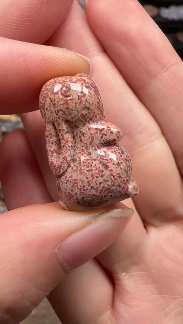 硅化珊瑚（珊瑚玉）未镶嵌颈饰218