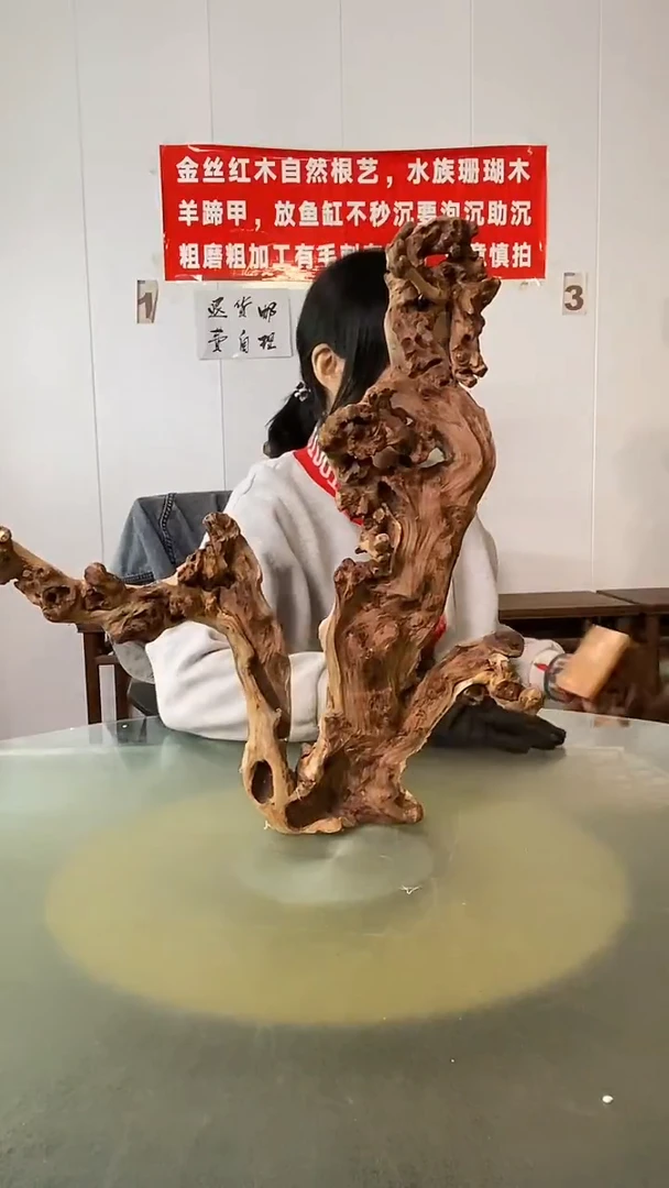 木萍*金丝红木  羊蹄甲