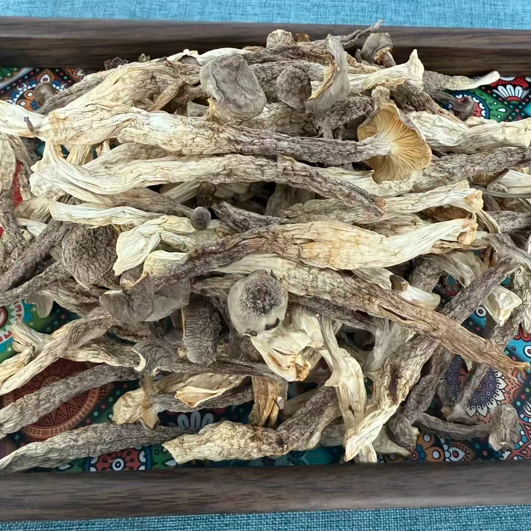 鹿茸菇精选干货口感鲜嫩煲汤干锅食材菌菇