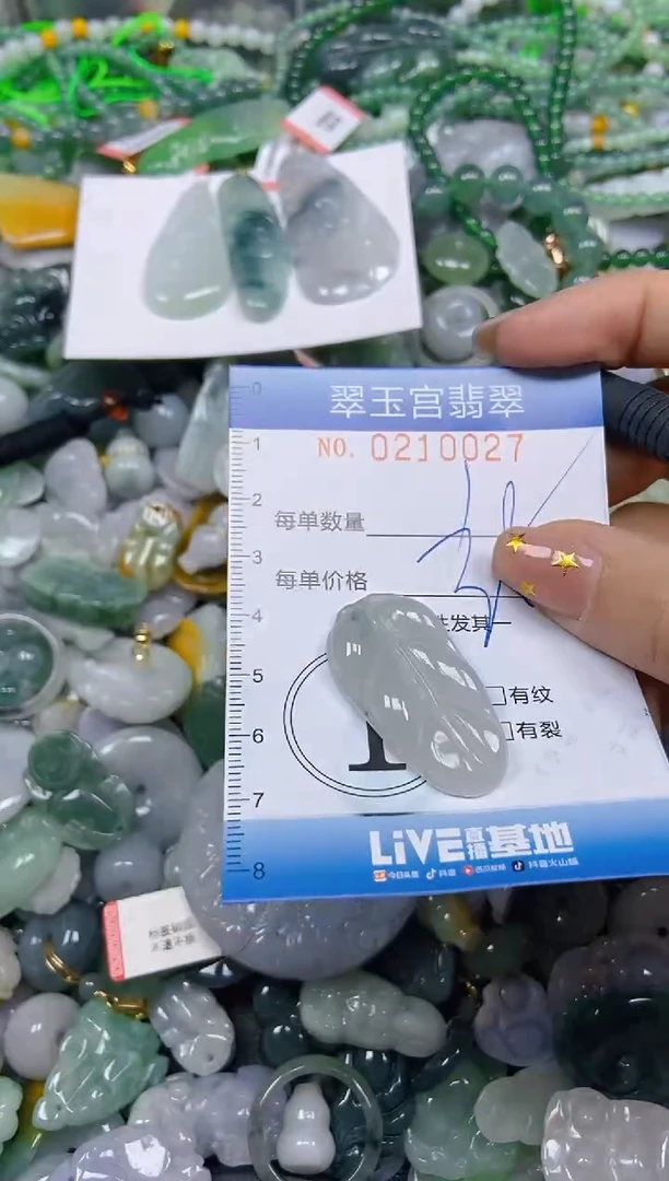 颈饰未镶嵌翡翠闪购C0210027