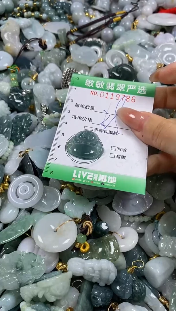 【闪购商品】翡翠颈饰未镶嵌闪购0119786