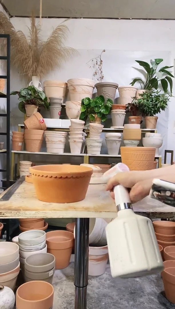 22*10红陶矮盆 1盆无托