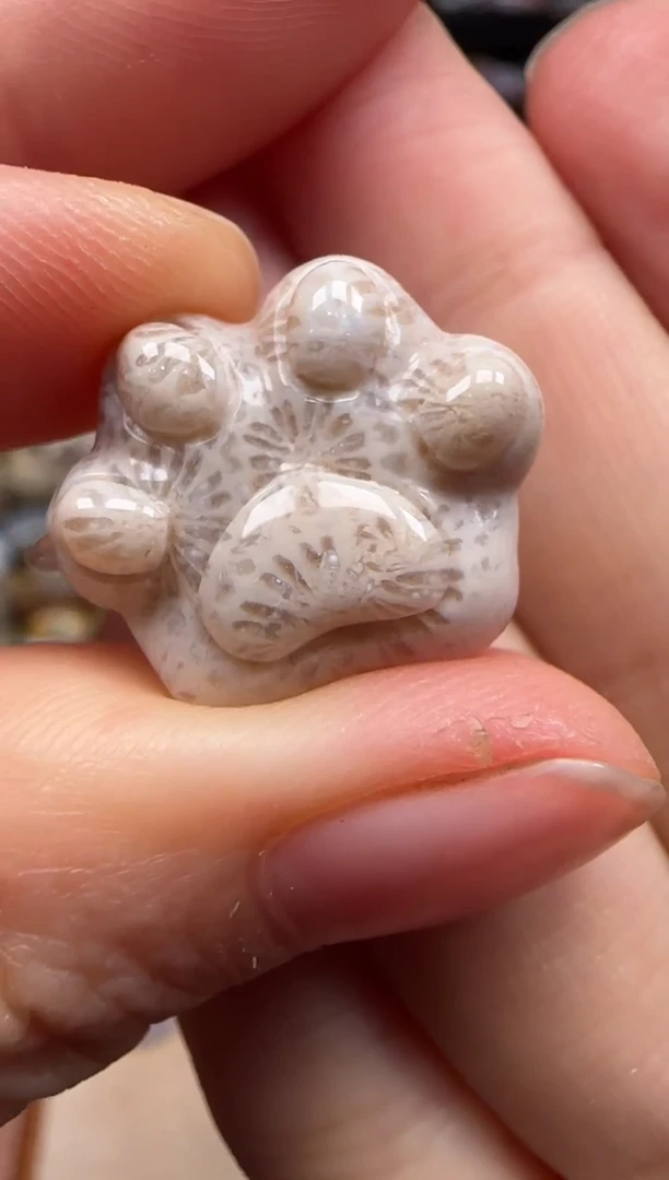 【闪购商品】硅化珊瑚（珊瑚玉）颈饰未镶嵌512