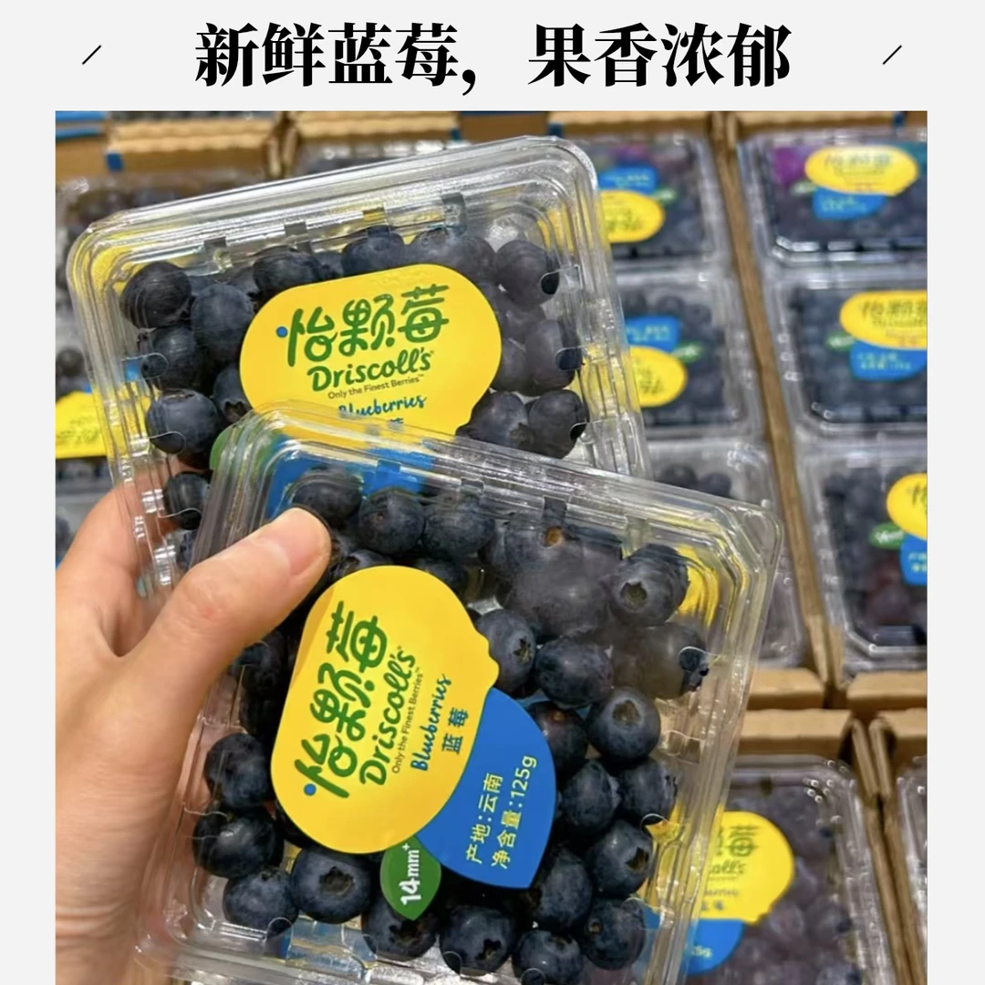 蓝莓125g13mm云南蓝莓云南省昆明市