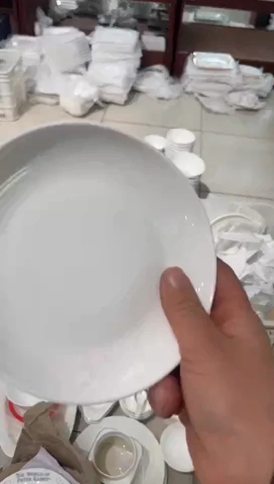 骨瓷6月光4个隆达骨瓷