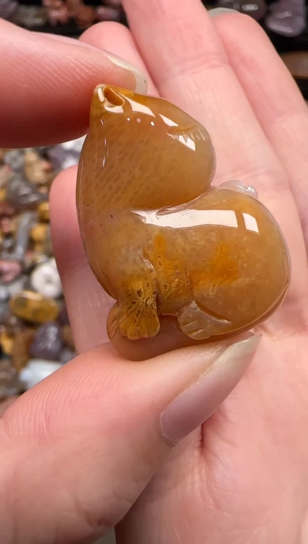 硅化珊瑚（珊瑚玉）未镶嵌颈饰894