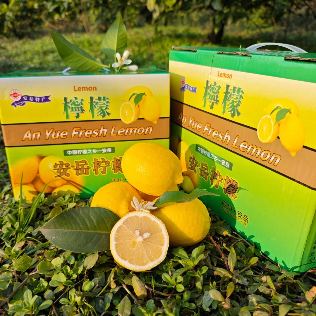 【精选礼盒装】安岳黄柠檬自然水果礼盒新鲜酸爽多汁产地现摘现发