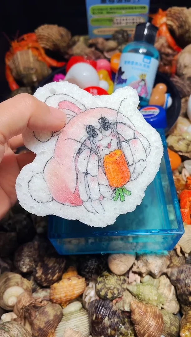 陌派有钳海绵4款