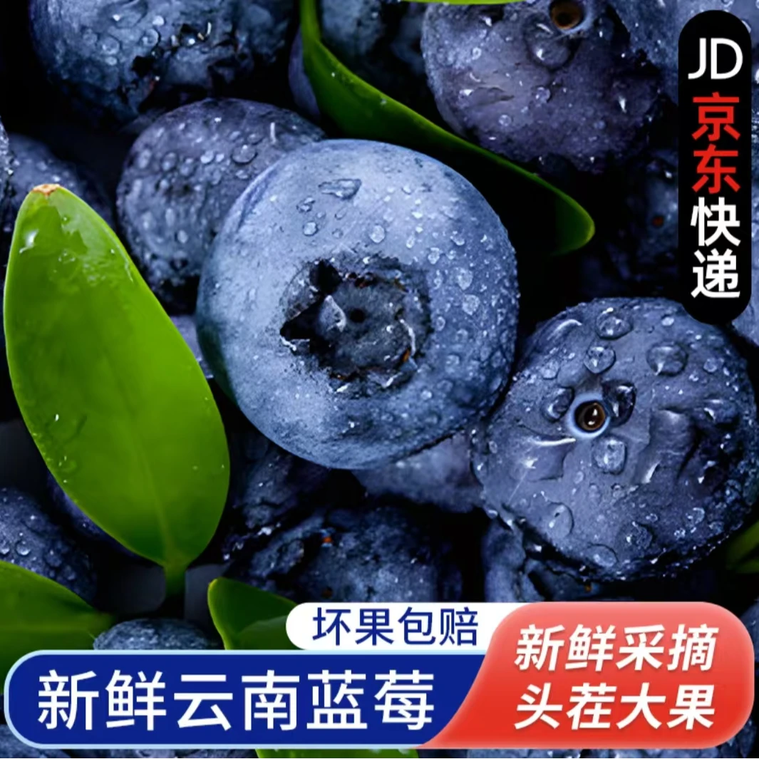 【京东/顺丰】25云南高原露天花香大蓝莓甄选好果花青素满满