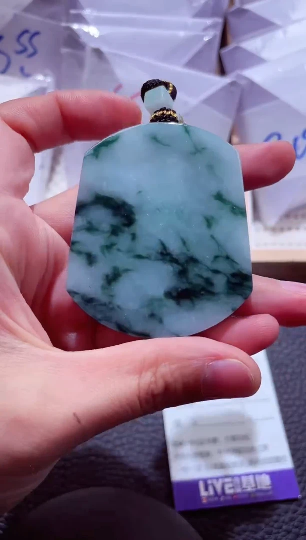 颈饰未镶嵌翡翠00000324