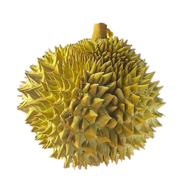 泰国巴掌鲜榴莲 核小 2-3斤不等榴莲同城送金枕泰国