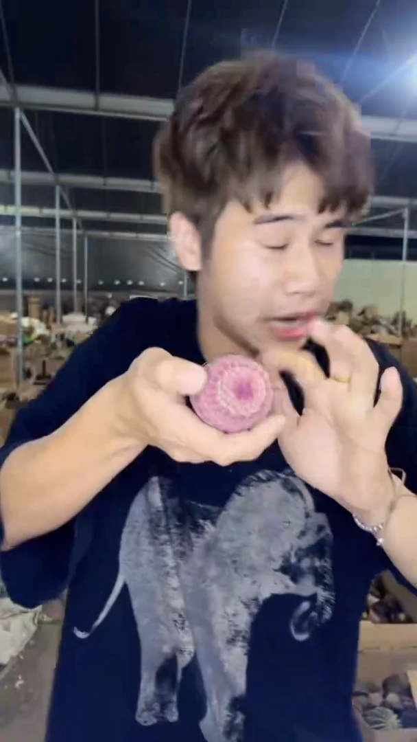 3颗 实生根 单头 红太阳