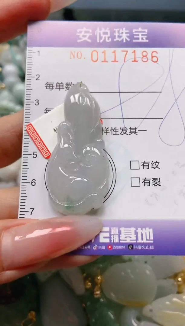 【闪购商品】翡翠颈饰未镶嵌闪购0117186