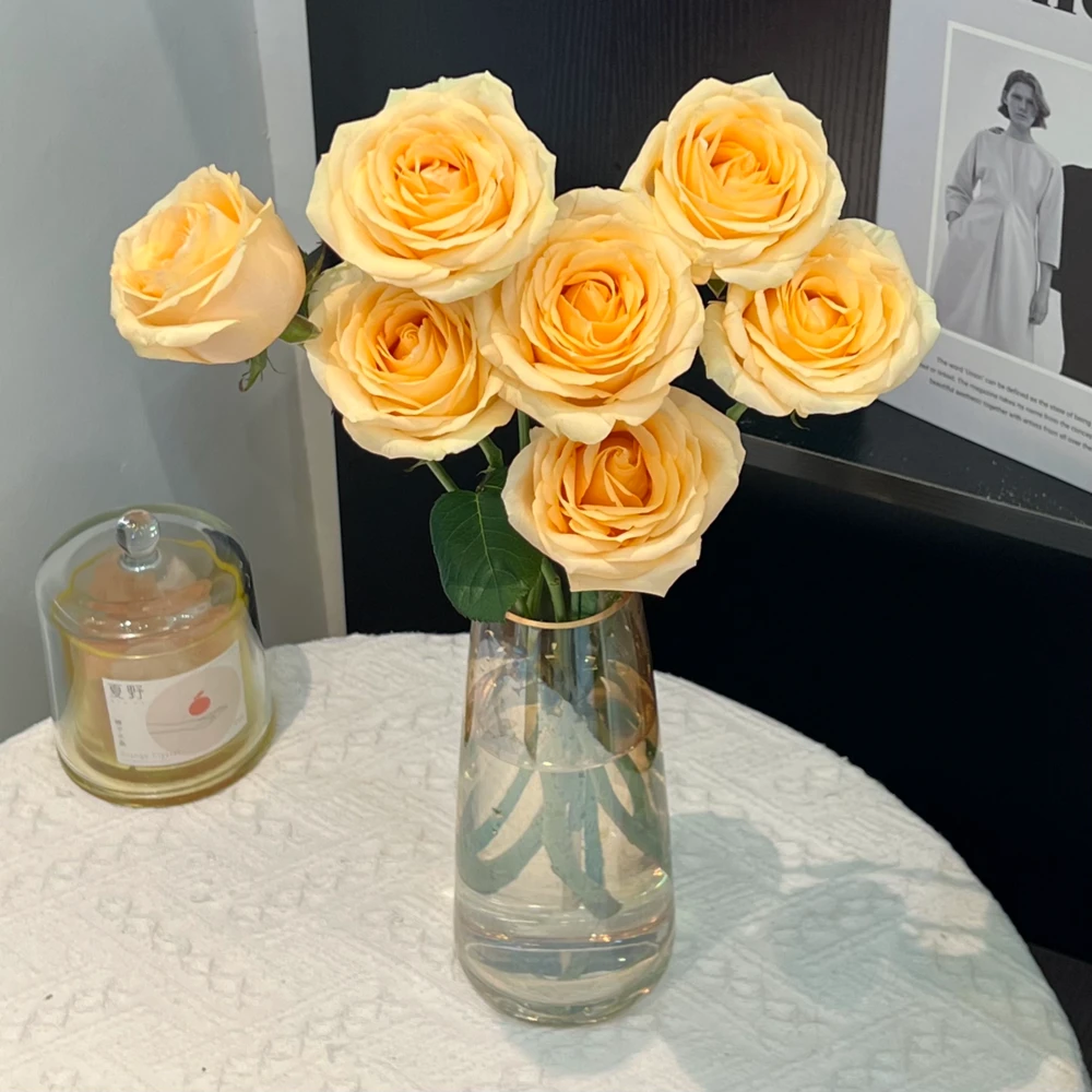 实付58起送不满不送【香槟玫瑰】单枝香槟玫瑰瓶插花家居花生活鲜花花店送花上门（不含瓶）