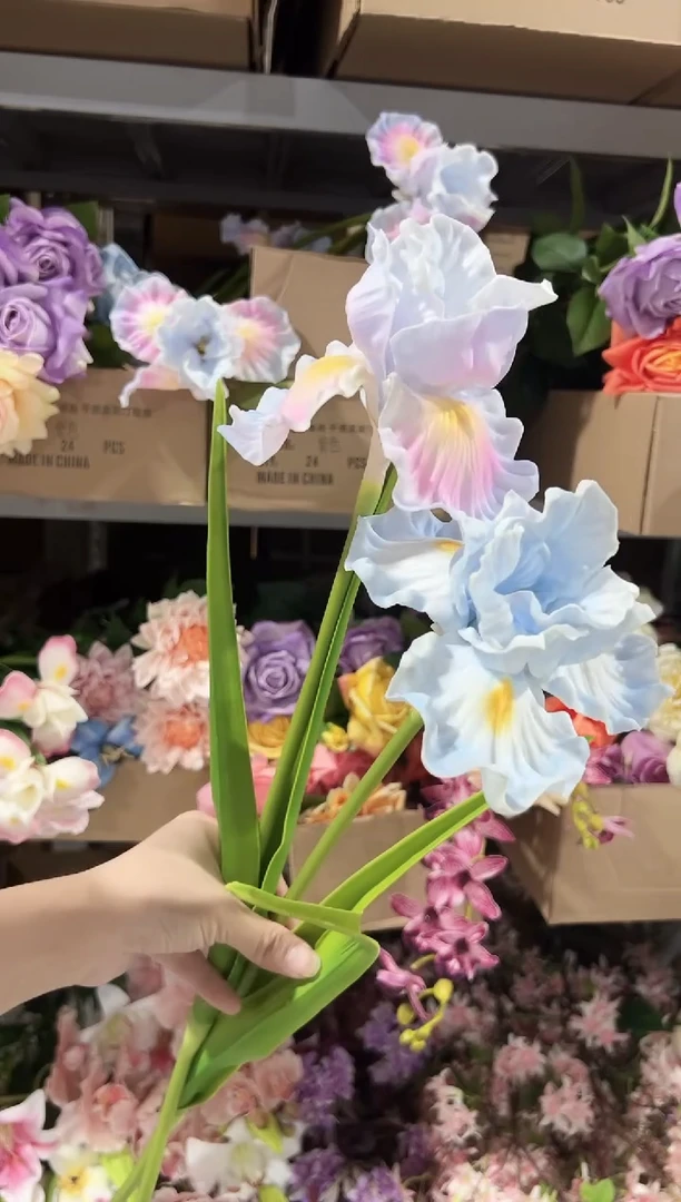 1枝蓝色1枝炫彩紫鸢尾