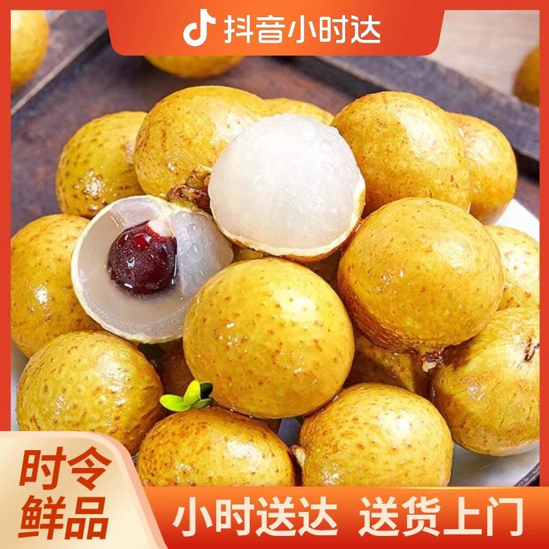 金果源龙眼（500g）