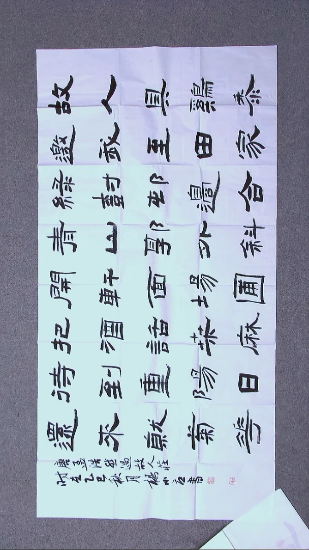 书法杨小立 河南南阳138*69八平尺