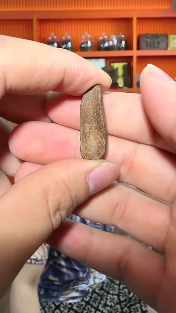 沉香吊坠101号红土包头多样性发一