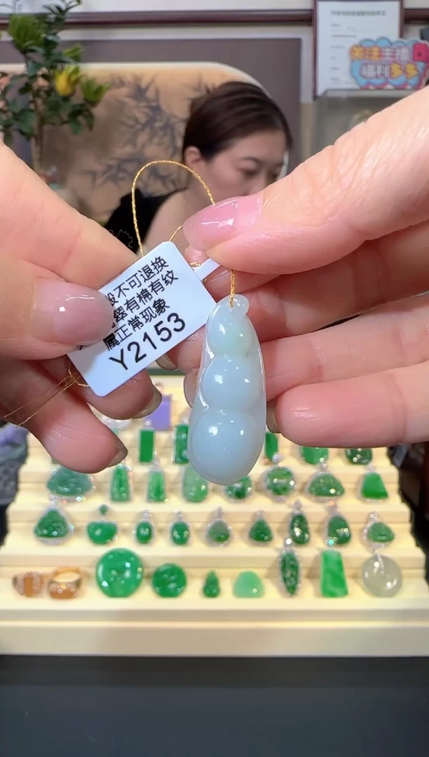 颈饰未镶嵌翡翠Y2153   富贵豆