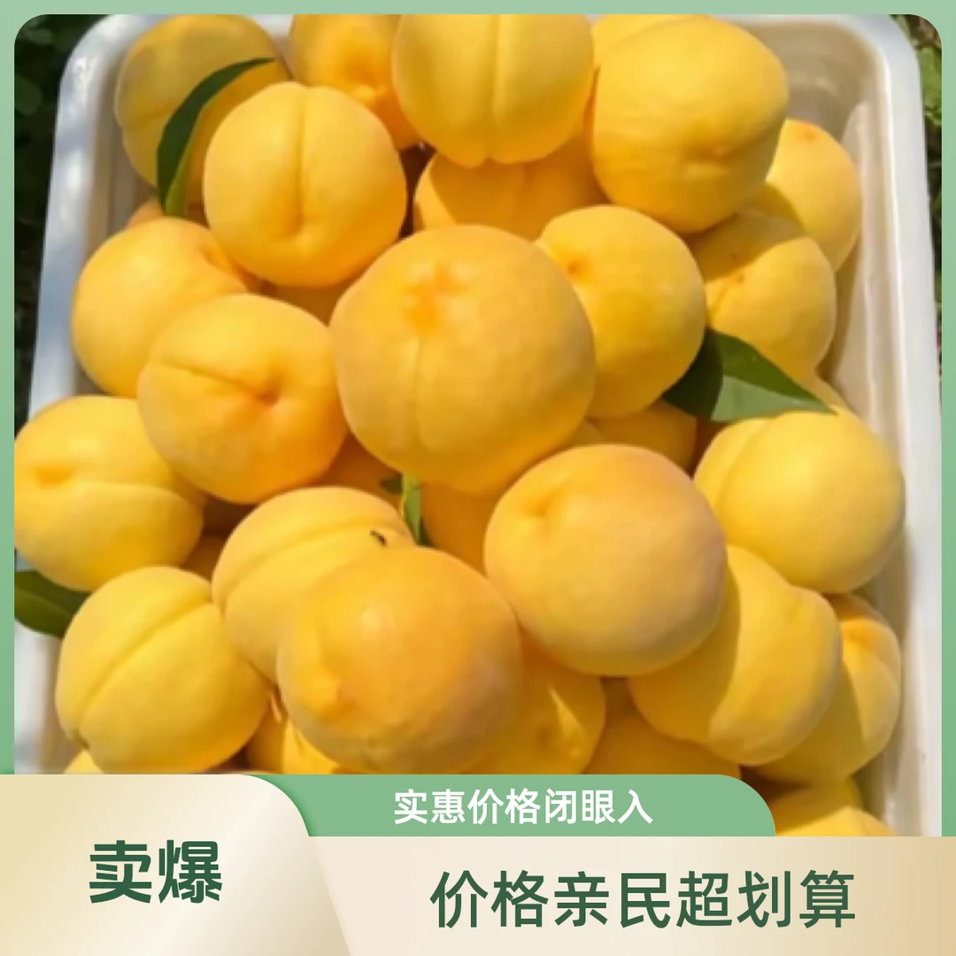 《京津冀次日达》黄金水蜜桃毛桃3/5/8斤（±2两）当季新鲜水果桃子天津市