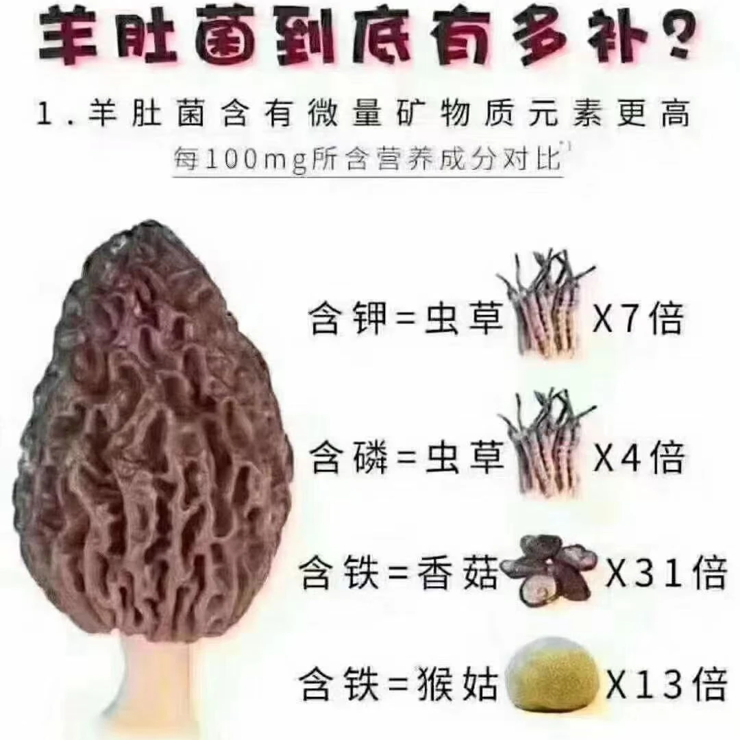 贵州高山干羊肚菌