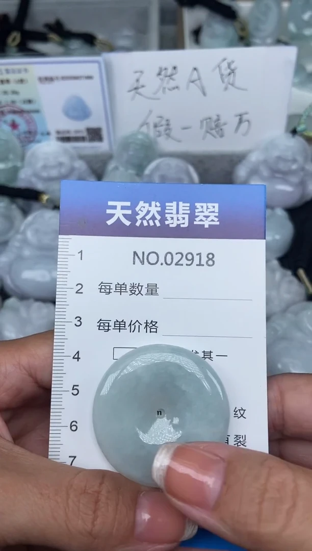 颈饰未镶嵌翡翠纯天然A货翡翠2918