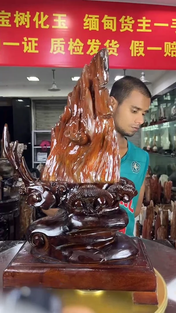 硅化玉珠宝奇石未镶嵌缅甸天然树化玉摆件