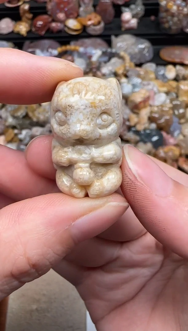 硅化珊瑚（珊瑚玉）未镶嵌颈饰684