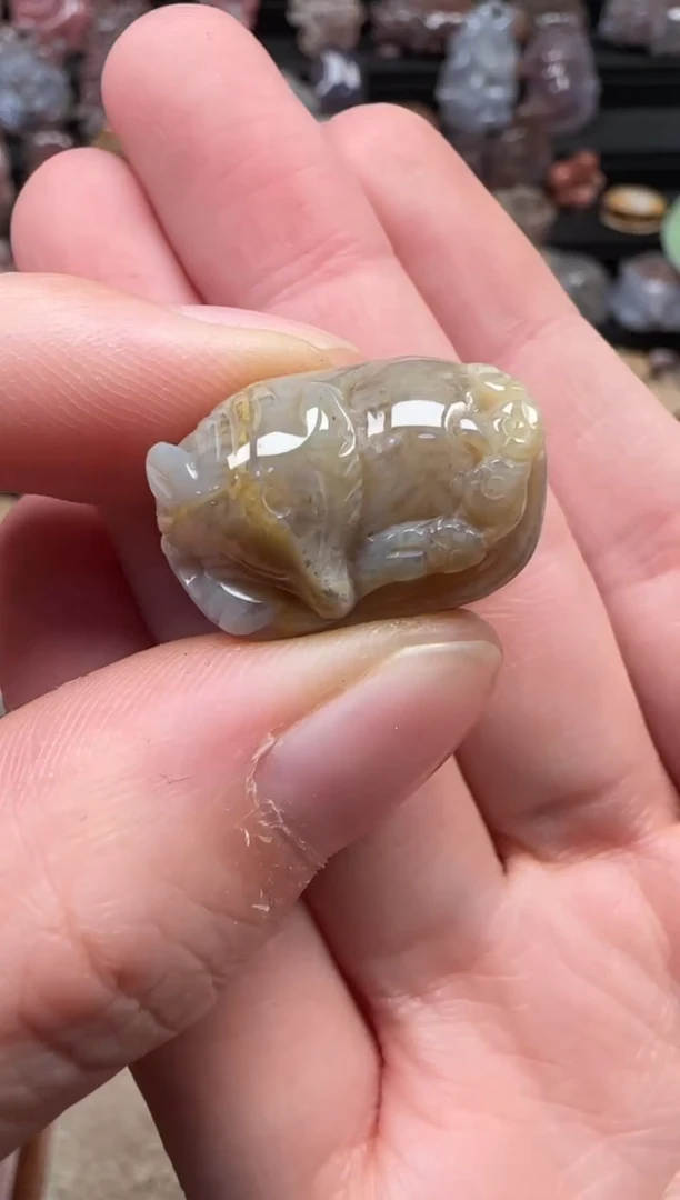 颈饰未镶嵌硅化珊瑚（珊瑚玉）047