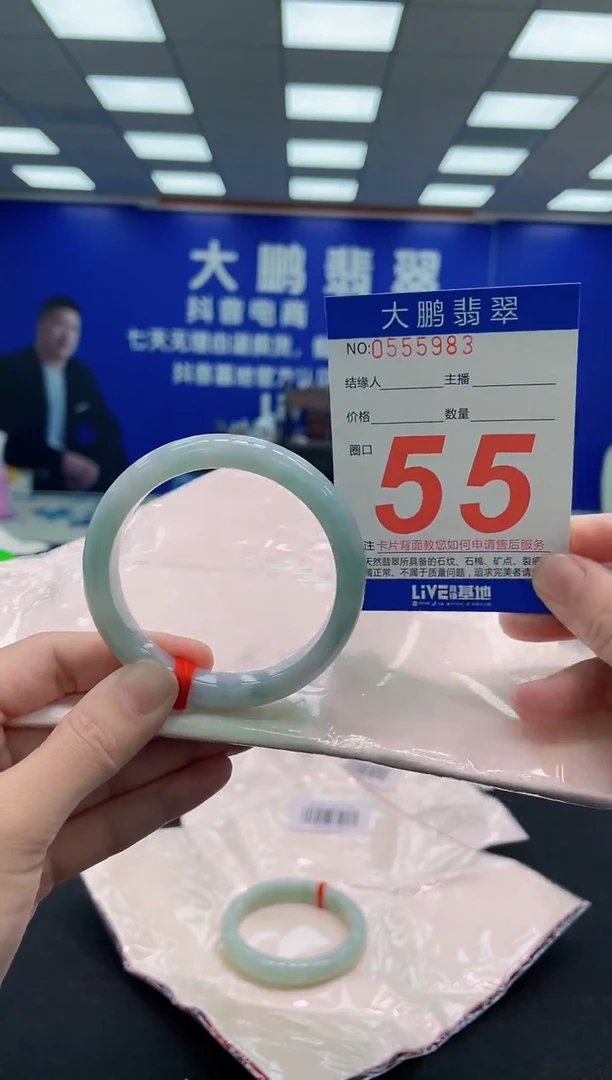 未镶嵌手镯翡翠AAAAAAAAA