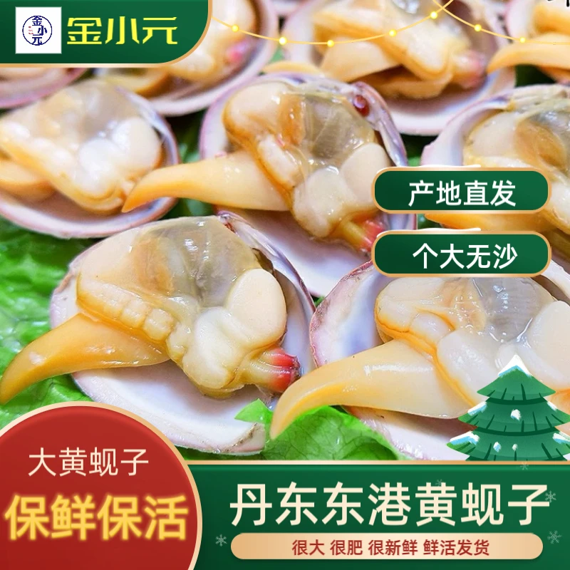 丹东野生大黄蚬子30以内一斤（5%-10%缩水率运输可能碎壳介意勿拍）