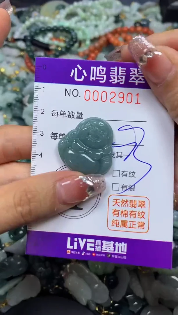 【闪购商品】翡翠颈饰未镶嵌闪购002901