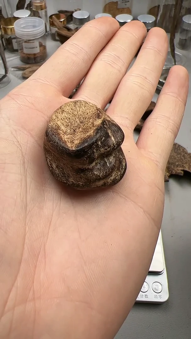 【闪购商品】沉香手把件达拉干沉水9.1g