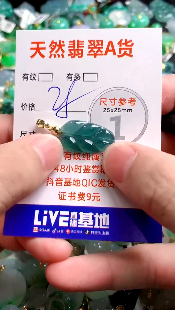 翡翠未镶嵌颈饰23000613多样性发货 发其一）