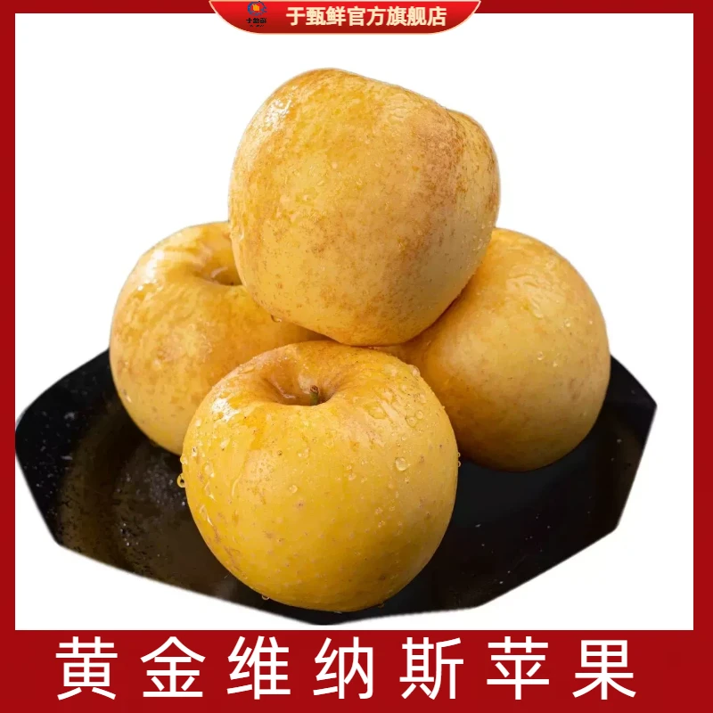 【于甄鲜选】山东黄金维纳斯苹果当季水果脆甜多汁4.5-5斤装