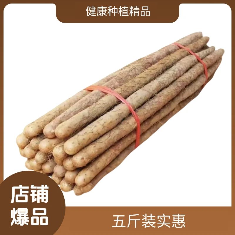 新鲜铁棍山药带土发货精选大果软糯香产地发货(宝宝辅食)装50往上
