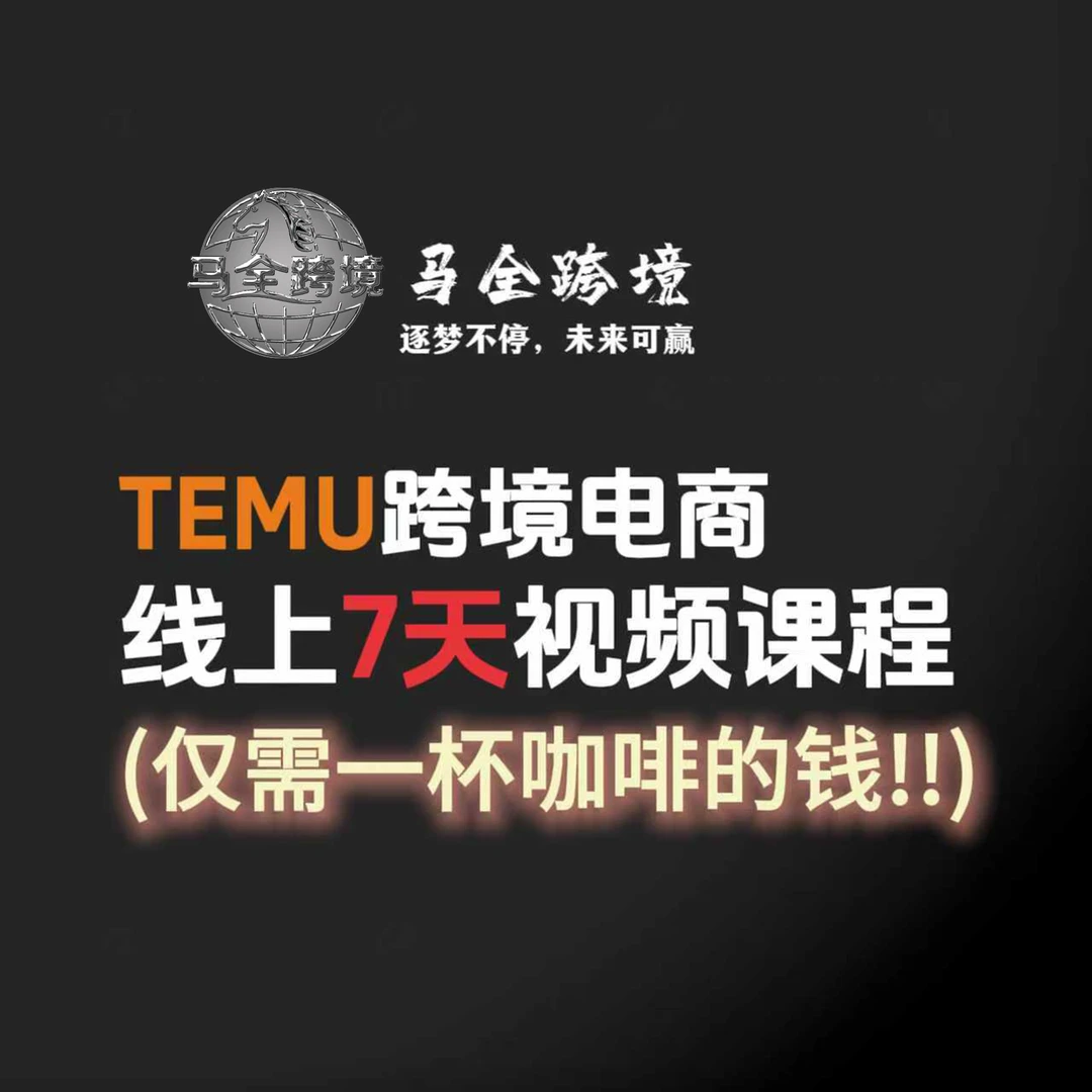 TEMU跨境电商7天小白训练营