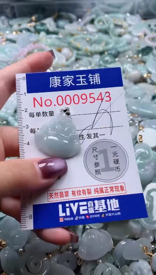 翡翠未镶嵌吊坠(不含链)9543