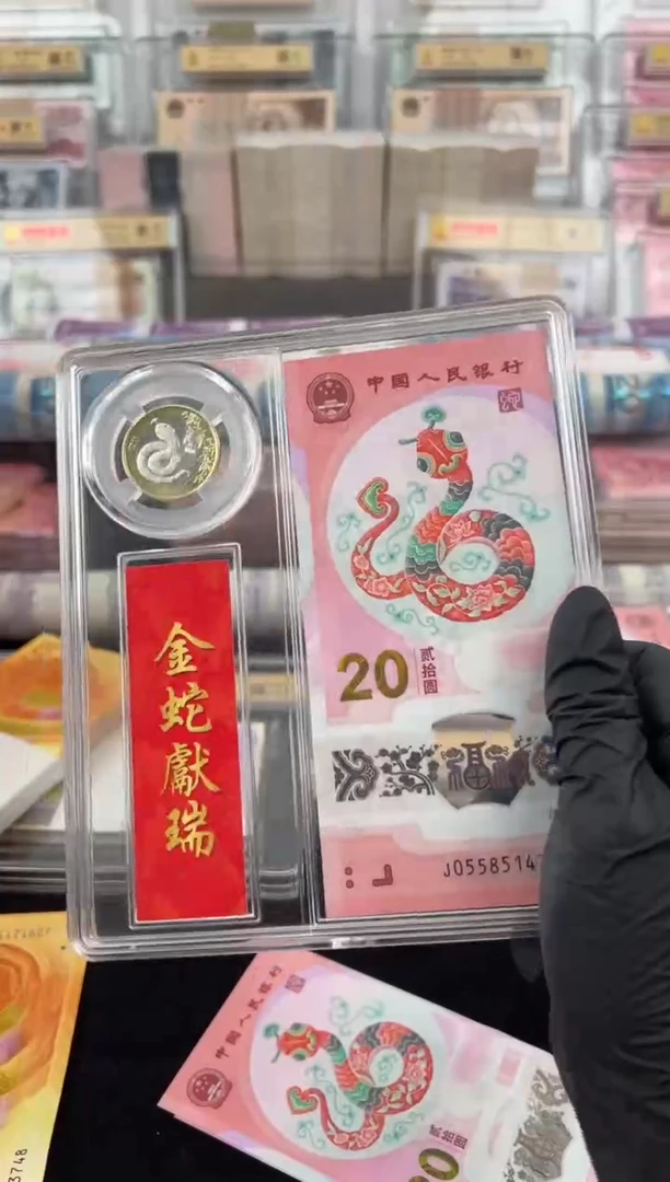 塑料2025年蛇钞币组合啊啊啊