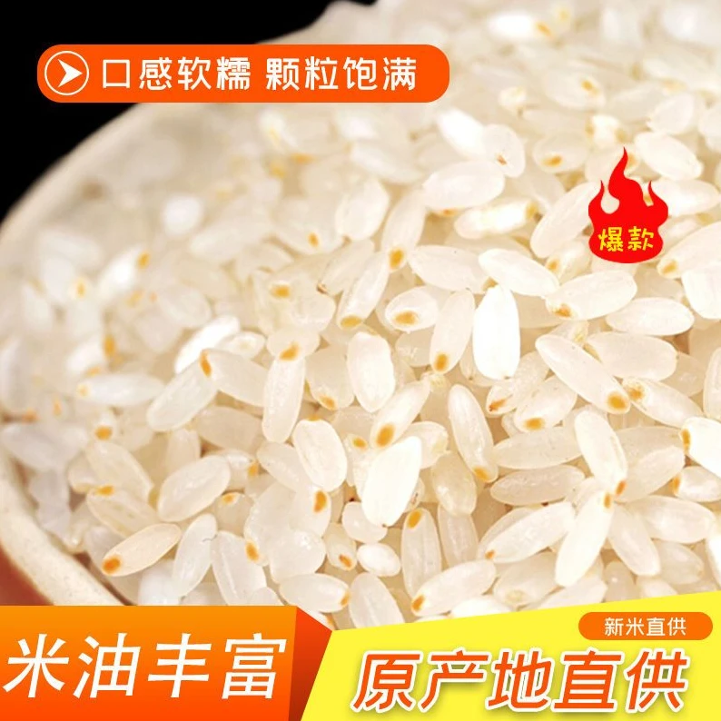 5斤起留胚芽米粳米农药不抛光东北新米农家自种原生态营清香