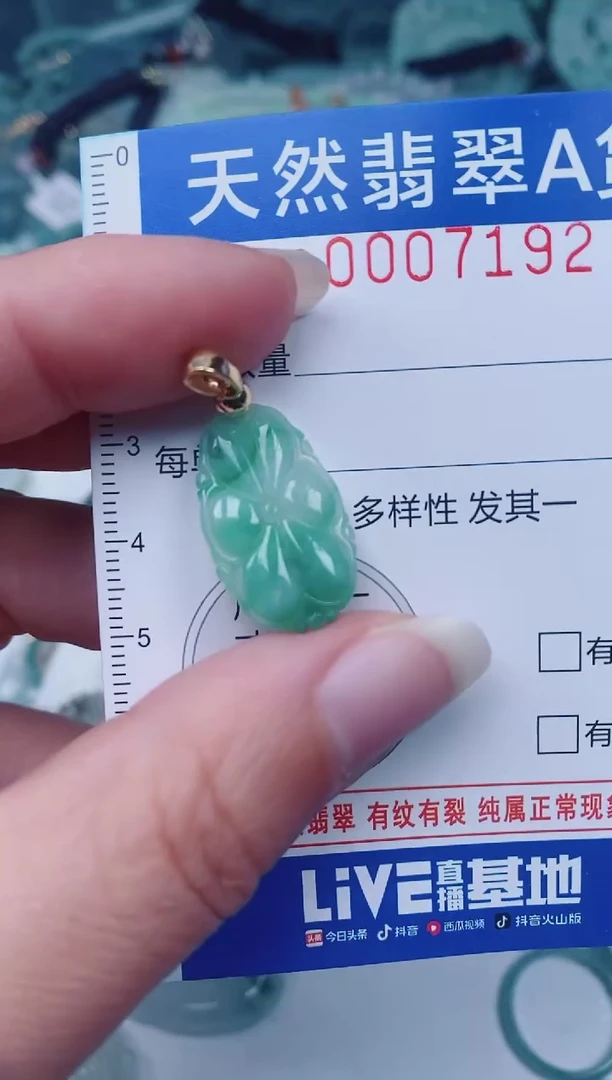 颈饰未镶嵌翡翠00007192